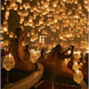 Meet your Posher, Brigitte